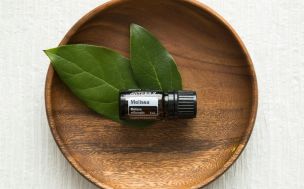 Overhead Shot of a Bottle on Green Leaves